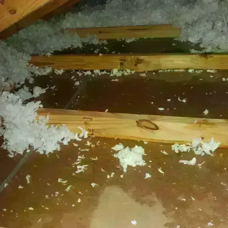 Attic Water Damage in Conway County, AR