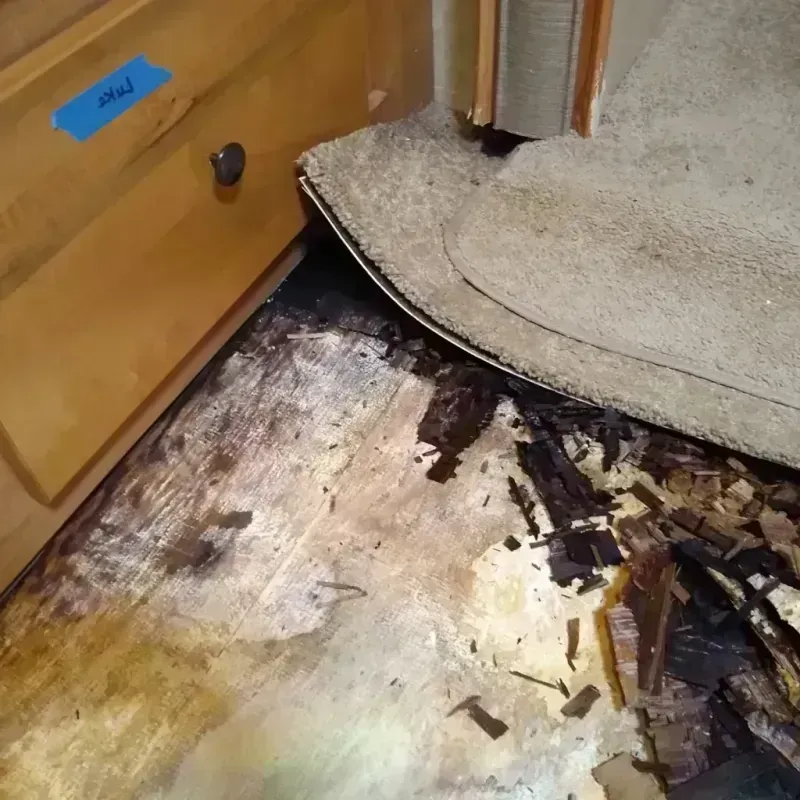 Best Wood Floor Water Damage Service in Conway County, AR